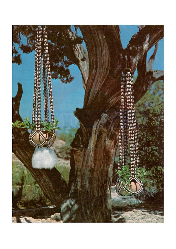Vintage 70s Oasis Macrame Plant Hanger Pattern Instant Download PDF 2 pages plus additional Knots and Techniques file