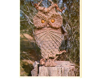 Vintage 70s Professor Nemo Owl Pattern Instant Download PDF 3 pages plus file with reference information