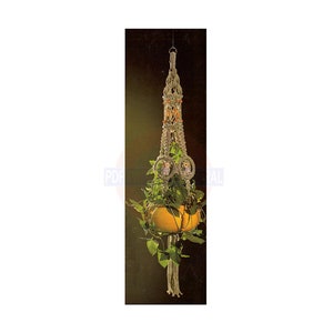 May include: A macrame plant hanger with a brown, round pot and green leafy plants. The hanger is made of natural fiber rope and has a decorative owl design.