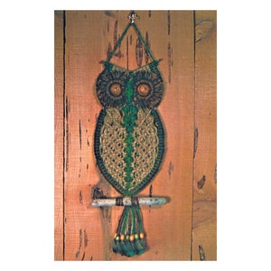 May include: A green and brown owl wall hanging made of yarn with wooden dowel and beads.