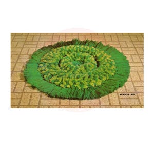 Vintage 70s Meadow Lark Macrame Rug Pattern Instant Download PDF 1.5 pages plus additional Knots and Techniques file