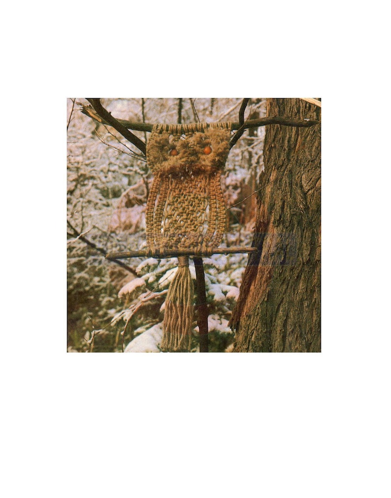 Vintage 70s Macrame Alouette Owl Pattern Instant Download PDF 2 pages plus file with extra instructions image 1