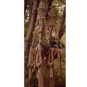 May include: Two macrame plant hangers with a brown pot and green plants hanging from a tree branch. The hangers are made of natural fiber rope and have a tassel design.