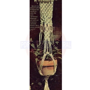 Puede incluir: Un macramé para colgar plantas hecho con cuerda de sisal natural. El macramé está colgado de un trozo de madera flotante y sostiene una maceta de terracota con una planta verde.