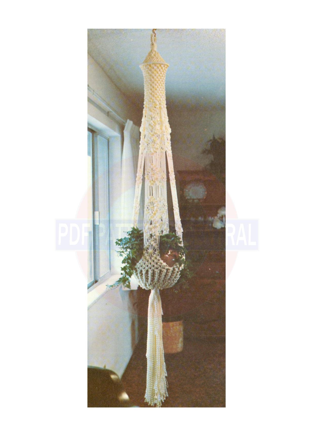 terrarium hanging plants 3 Stunning Air Plant Terrariums
