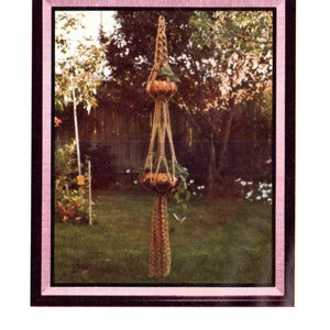 May include: A double-tiered macrame plant hanger with two brown pots and green plants hanging from a brown rope in a backyard setting.