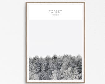 Winter Forest Print: Snowy Landscape Art (Digital Download)