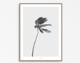 Palm Tree, Contemporary Photo, Beachy Wall Decor, Minimalist Poster, Palm Photography, Wall Art Prints, PRINTABLE ART, Living room decor