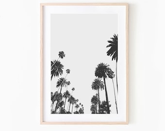California Palm Tree Photo Print: Coastal Living Room Decor (Digital Download)