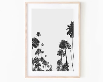 California Wall Art, Palm Tree Print, Wall Decor Living Room, Palm Tree Plant, Downloadable Prints, Palm Tree Photo, Costal Printable Photo