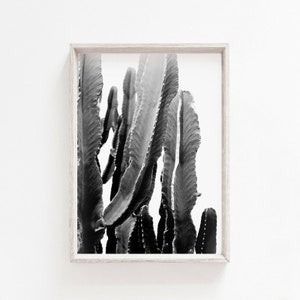 Large Cactus Print, Bohemian Art, Black and White Wall Art Print, Cactus Photography, Printable ART, Large Wall Art, Modern Digital Print