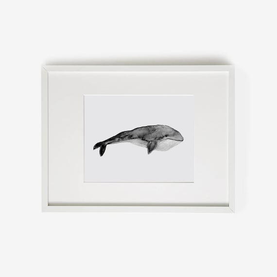Whale Artwork, Whale Prints, Whale, Printable whale, Whale Print, Cule Artwork, Nautical, Lovely pets, whale watercolor, Gray Nursery, Grey Nursery photo about Whale Printable known as Whale Artwork, Whale Prints, Whale, Printable whale, Whale Print, Cule Artwork, Nautical, Lovely pets, whale watercolor, Gray Nursery, Grey Nursery