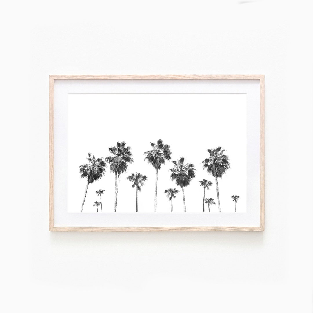 Black and White Palm Tree Print: Minimalist Tropical Wall Art (digital ...