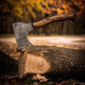 May include: Axe with a dark metal head and a wooden handle. The handle is secured with rivets. The axe is embedded in a section of a tree trunk, with a blurred forest background.
