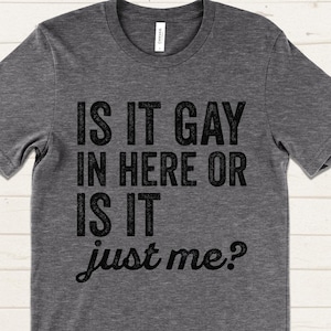 Is It Gay In Here Or Is It Just Me T-Shirt, Funny Gay Pride Shirt, LGBT Lesbian Shirt, Queer Humor Tee, LGBTQ Gift Idea