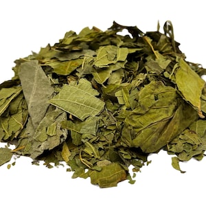 Matico Tea Herbal Infusion Tea Zip lock Value (100g) Hierba Del Soldado