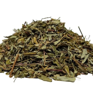 Chanca Piedra Tea Stonebreaker Herbal Infusion (90g) Herb Kidney Tea Quebra Pedra Te-