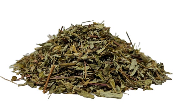 Chanca Piedra Tea Stonebreaker Herbal Infusion (90g) Herb Kidney Tea Quebra Pedra Te-