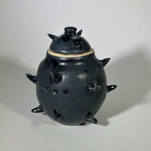 May include: A dark blue ceramic jar with a lid, featuring a textured surface and several pointed protrusions. The jar has a round shape and a contrasting light-colored rim. The lid also has several protrusions.
