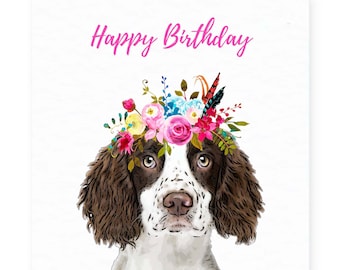 Springer Spaniel Birthday Card - Greeting Card Gift