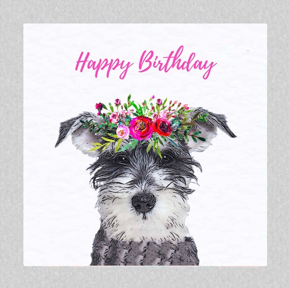 Schnauzer Birthday Card Schnauzer Greeting Card Gift Etsy