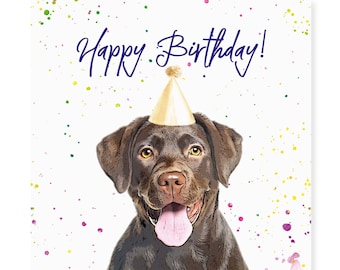Chocolate Labrador Birthday Card - Party Hat Greetings Card