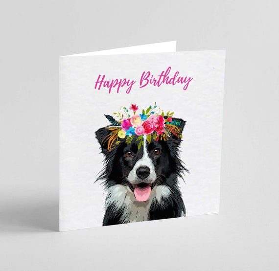 Border Collie Birthday Card Sheep Dog Greeting Card Gift for Border Collie Lover Etsy