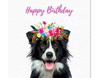 Border Collie Birthday Card - Sheep Dog Greeting Card - Gift for Border Collie Lover