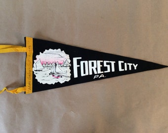 1972 Forrest City Pennsylvania Pennant
