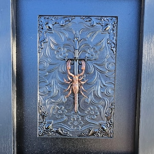 IN STOCK Baby Giant Forest Scorpion (Heterometrus spinifer) Gothic Frame 3D black on black Shadow Box curiosity cabinet oddities creepy