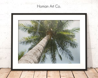 Enkele Palm II | Palmboom, tropisch blad, kustdecor, palmmuurkunst, kleurenfotografie, afdrukbare kunst, instant digitale download