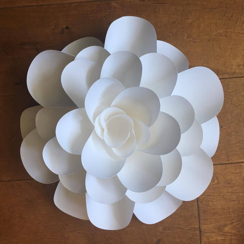 DIY Kit of Large Paper Flower Precut Craft Kit for Adults Etsy