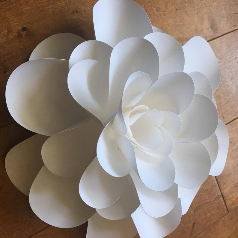 DIY Kit of Large Paper Flower Precut Craft Kit for Adults Etsy