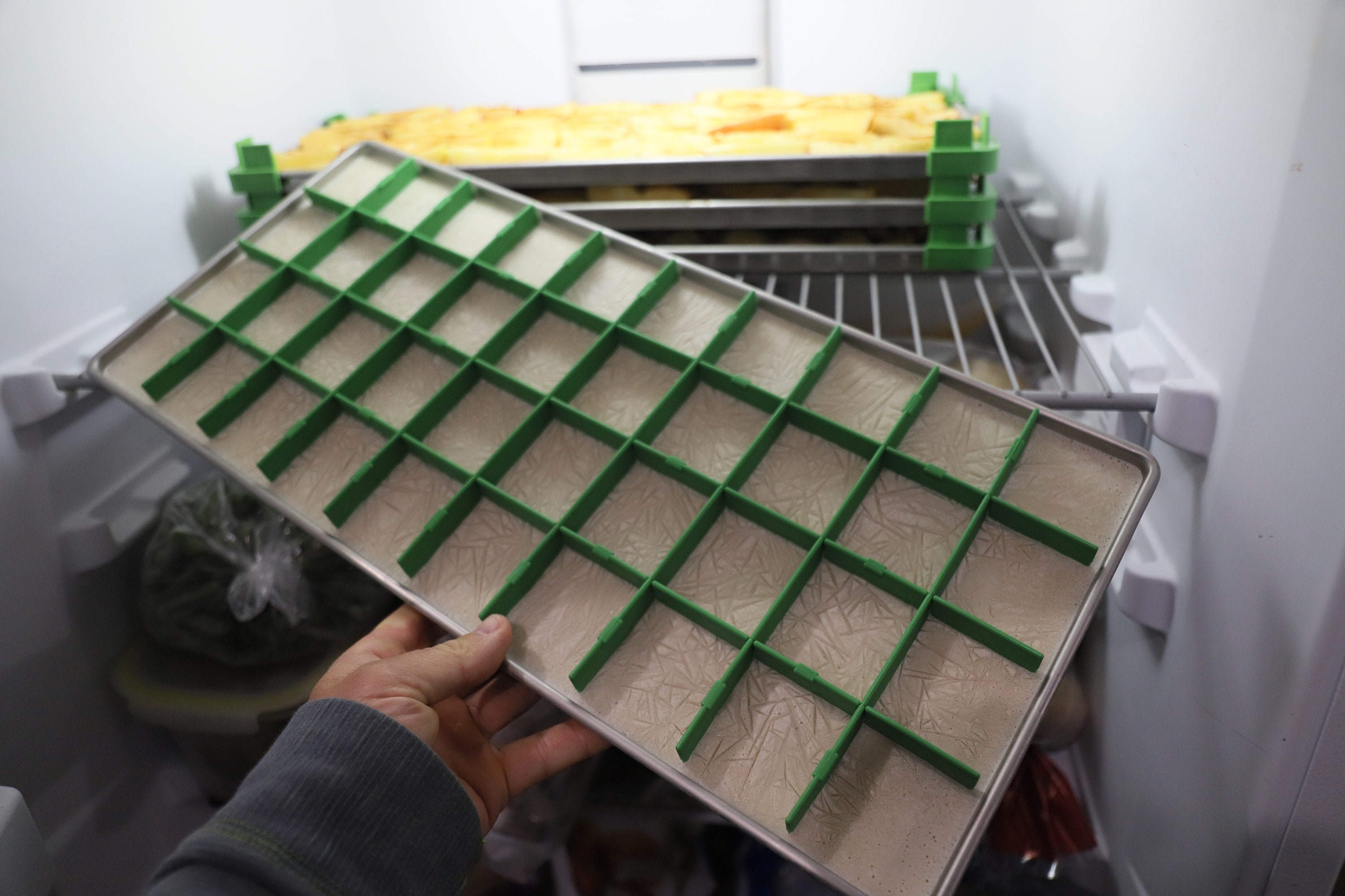 Freeze Dryer Tray Dividers makes up to 40 Portions per Tray Etsy