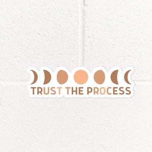 Trust The Prozess Vinyl Aufkleber | Ästhetischer wasserdichter Aufkleber | Niedlicher Laptop Aufkleber |