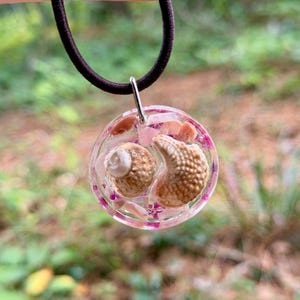 May include: A circular clear resin pendant suspended from a dark brown elastic cord. The pendant contains two small tan seashells and scattered pink and white stone fragments embedded within the transparent material, held by a silver metal bail.