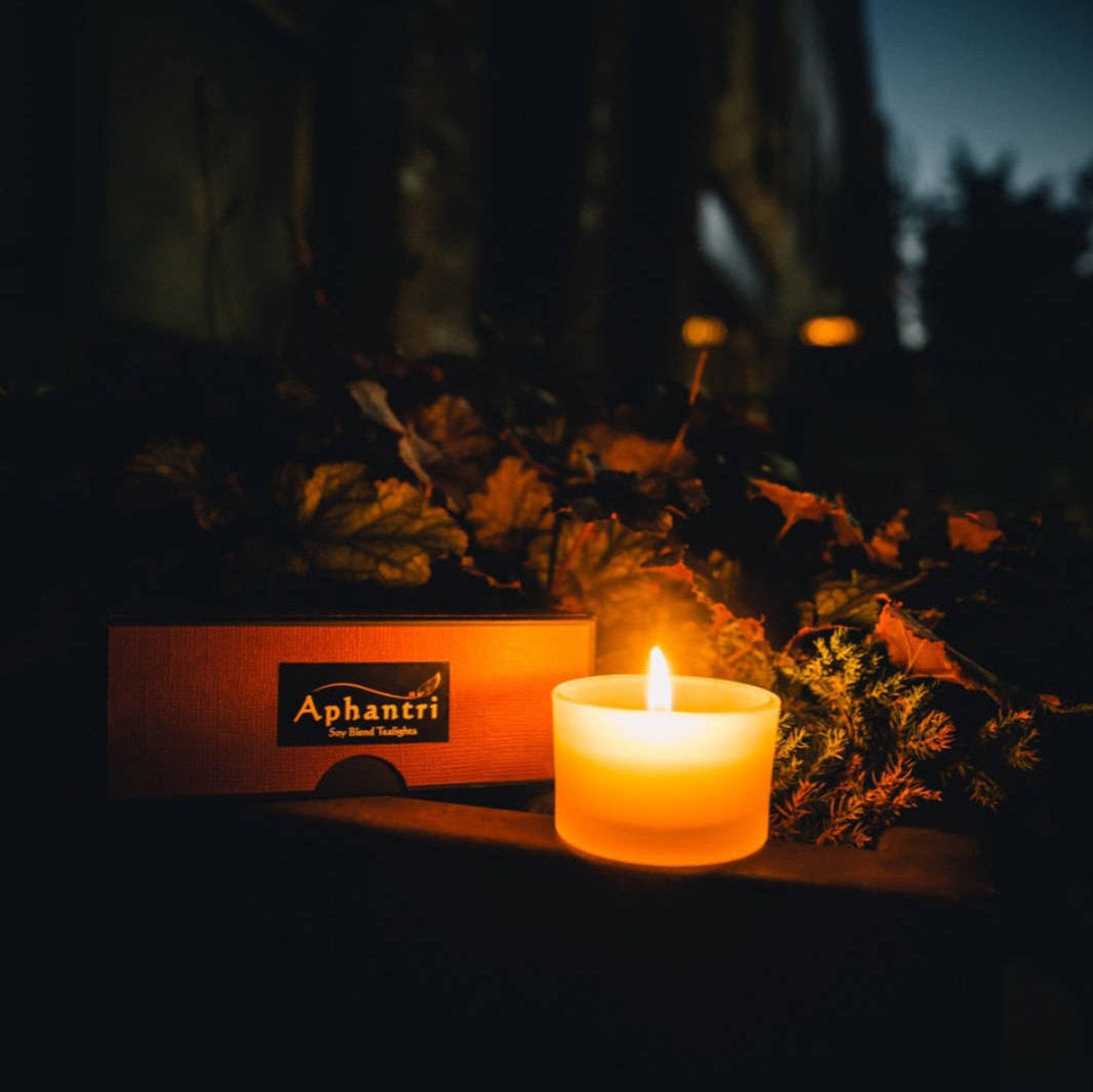 Black Tea Scented Tea Light Candles Tea Scented Candles Etsy