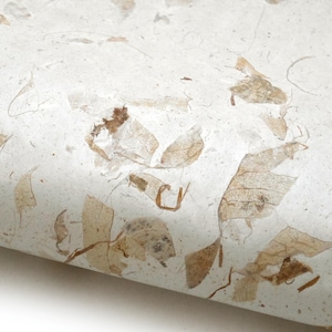 Könnte beinhalten: Nahaufnahme von handgeschöpftem Papier mit strukturierter Oberfläche. Das Papier ist cremefarben mit eingebetteten getrockneten Blättern und Fasern in Braun- und Beigetönen. Das Papier ist leicht gerollt.