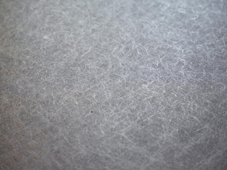 May include: Close-up of a textured, gray surface with a fibrous appearance. The surface has a subtle, mottled effect with fine, light-colored strands scattered across it, creating a soft, almost ethereal look. The overall tone is neutral and muted.