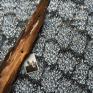 May include: A weathered piece of driftwood lies on a black background with a white floral pattern. A black and white photograph of two people is tucked under the driftwood.