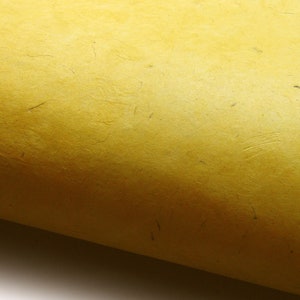 Carta Lokta. Giallo girasole. Carta nepalese fatta a mano.
