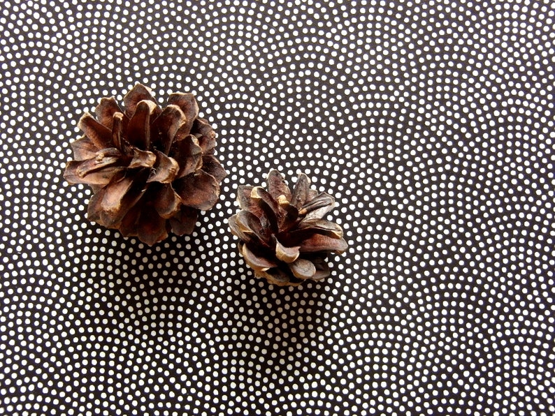 NEW Japanese Paper Chiyogami Yuzen Samekomon White Dots on Black. Sharkskin