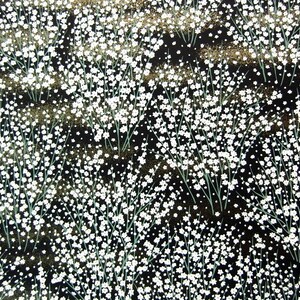 May include: Black fabric with a white floral pattern. The fabric is covered in small white flowers on thin stems. The background is black with a subtle gold shimmer.