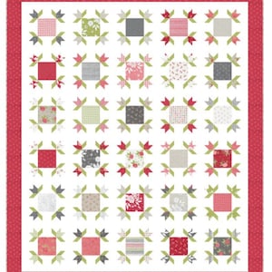 May include: A quilt pattern with a white background and a red border. The quilt is made up of squares with different floral and geometric patterns in shades of red, pink, gray, and green.