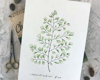 Watercolor Maidenhair Fern Print, Botanical Illustration Print, Fern Print, Home Decor Print