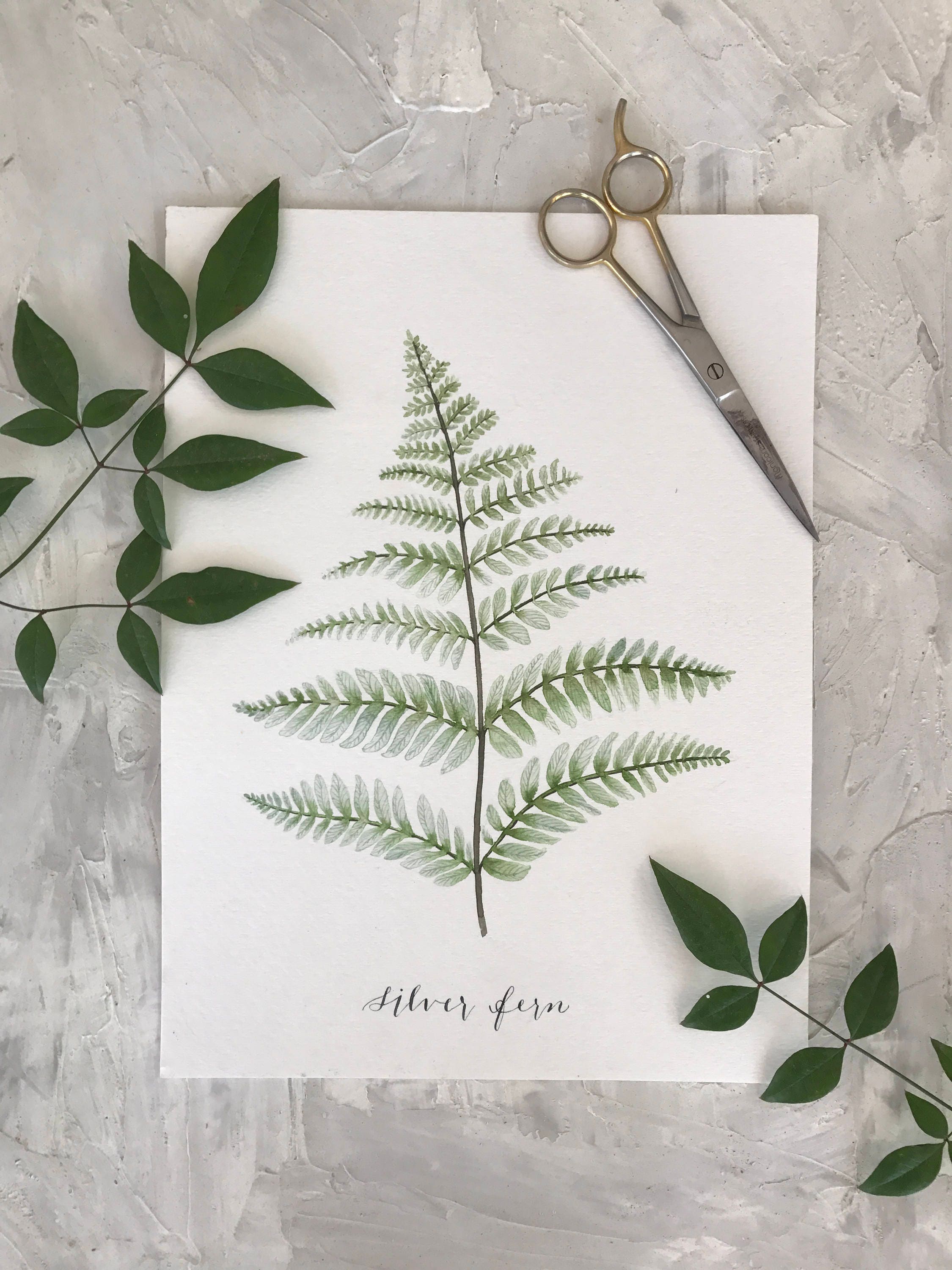 Silver Fern Print, Watercolor Print, Watercolor Fern Print, Watercolor Art, Botanical Print - Etsy