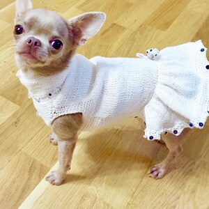 White summer dress for dog. Dog dress. Clothes for small dog.White clothes large dog. Summer reglan gog/Clothes for cat image 3