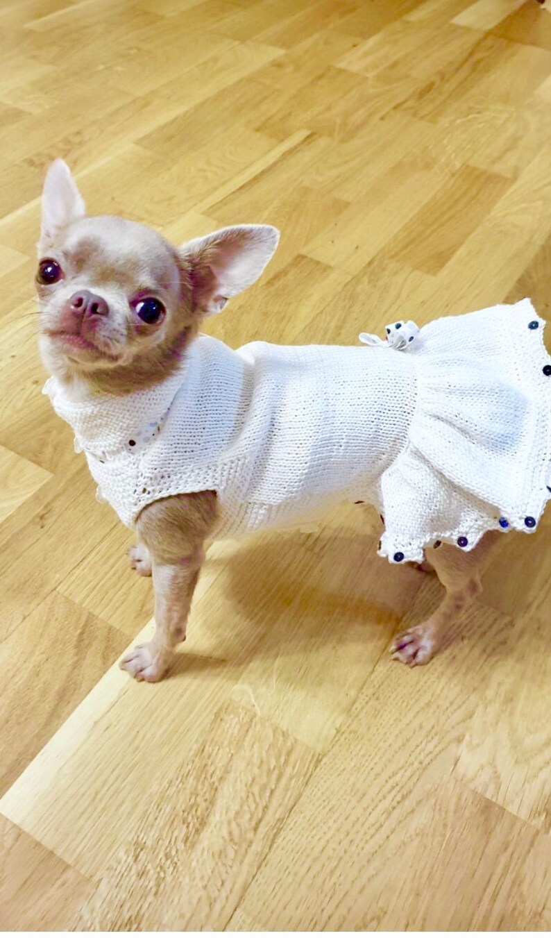 White summer dress for dog. Dog dress. Clothes for small dog.White clothes large dog. Summer reglan gog/Clothes for cat image 3