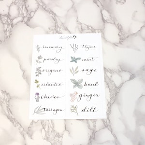 Op de afbeelding: Een vel met witte stickers met illustraties van kruiden en hun namen. De kruiden omvatten rozemarijn, tijm, peterselie, munt, oregano, salie, koriander, basilicum, bieslook, gember, dragon en dille.