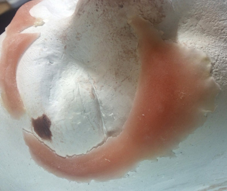 May include: Close-up of a pink and white silicone mold for creating a prosthetic ear. The mold is partially filled with a pink silicone material.